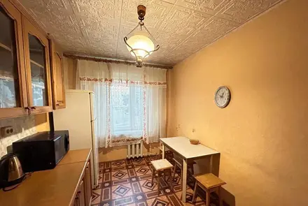 Вид квартиры на сутки, Светлогорск, Полесье мкрн. 16 — фото 3